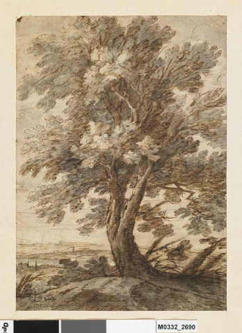 Paysage avec un arbre au premier plan.