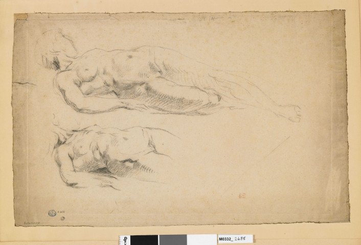 Deux études de nu féminin allongé