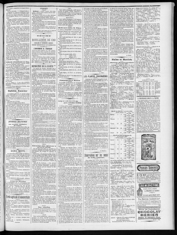 13/11/1904 - Organe du progrès agricole, économique et industriel, paraissant le dimanche [Texte imprimé] / . I