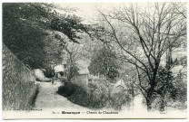 Besançon. Chemin de Chaudanne [image fixe] , Besançon : J. Liard, 1901/1908
