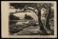 Au bord de l'Etang. [image fixe] 1897/1902