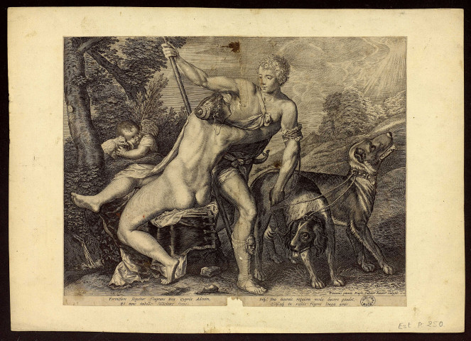 [Vénus et Adonis] [image fixe] / Titianus pinxit  ; Raph. Sadeler Iunior scalpsit. 1610 , [S.l.] : [s.n.], 1610
