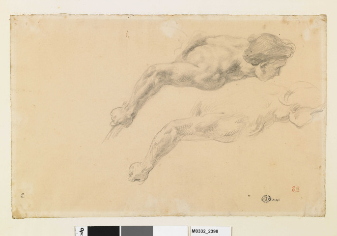 Double étude pour le torse d'un ange frappant Héliodore dans "Héliodore chassé du temple"