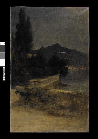 Ville éclairée de nuit au bord de l'eau ; Vue nocturne de la ville de Montreux depuis l'île de Salagnon