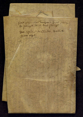 Ms 1296-7 - Testaments provenant de l'officialité de Besançon : 1639