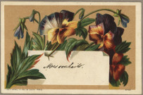 Avis de passage publicitaires :
Entrepôt général de chaussures, magasins les mieux assortis de la province, A. George, 49 Grande-Rue, Besançon, F. Appel 12 Rue du Delta, Paris au verso, comprenant différentes images au recto (2 cartes) :
- La fille de Mme Angot.
- Fleurs.
Entrepôt général de chaussures, magasins les mieux assortis de la province, A. George, 49 Grande-Rue, Besançon, O. David à Arbois au verso, comprenant différentes images au recto (11 cartes) :
- Mer des Indes.
- Mer rouge.
- Mer adriatique.
- Mer du nord.
- Les équilibristes en monnaie (Aubry, Paris, Série 764).
- Ce qui s'appelle faire rouler l'argent (Aubry, Paris, Série 764).
- Beaucoup de goût pour la peinture (Série 765).
- A bon chat bon rat (Série 765).
- Une espièglerie bruyante (Série 765).
- Domino satané double six (Aubry, Paris, Série 769).
- Une partie de carte en dix, neuf à rien (Aubry, Paris, Série 769).
Entrepôt général de chaussures, magasins les mieux assortis de la province, A. George, J. Cretin-George, gendre & successeur, 49 Grande-Rue, Besançon, imp O. David à Arbois au verso, comprenant différentes images au recto (4 cartes) :
- Chasse au Tigre dans l'Inde (Aubry, Paris, Série 773).
- Chasse au Serpent Boa - Guyane Française (Aubry, Paris, Série 773).
- Chasse au Lion - Algérie (Aubry, Paris, Série 773).
- Chasse à l'Ours - Pôle Nord (Aubry, Paris, Série 773).
Chaussures A. George J. Cretin-George, gendre et successeur 42 & 49 Grande Rue, Besançon au recto comprenant différentes images (rien au verso) (3 cartes) :
- Le déjeuner - Minet va se bruler (Série 787).
- La leçon de danse - Minet danse pas bien (Série 787).
- La lecture - Minet ne sait pas lire (Série 787).