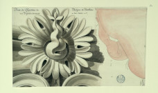 Rose du chapiteau du portique du Panthéon, vue perpendiculairement à son centre / Pierre-Adrien Pâris , [S.l.] : [P.-A. Pâris], [1700 -1800]