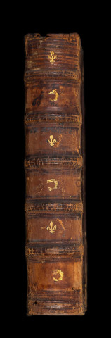 In Aristotelis policorum, sive de republica, libros VIII Martini Borrhaei annotationes