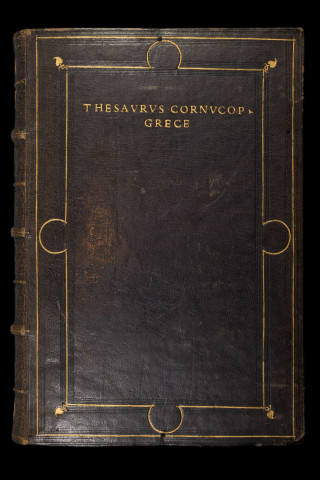 Thesaurus cornucopiae