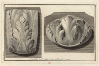 Deux feuilles d'acanthe, provenant d'un ancien fragment [Image fixe] / Luca Comparini dis., Giovanni Balzar inc. in Firenze , Florence (Italie), 1700/1799