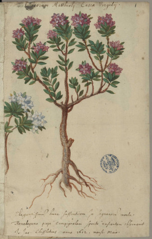 Ms 1369 - « Hortus florum agri Sequanici »