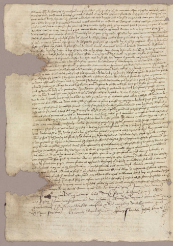 Ms 1707 - Privilèges et prérogatives diverses, lettres de rémission, de légitimation, etc. (13 août 1543-octobre 1784)