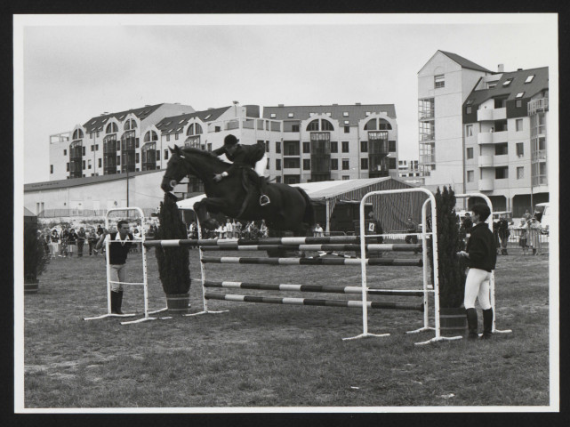 Sports avec animaux - Equitation, présentation hippique au parc urbainM. Tupin