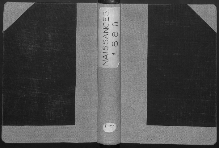 Registre des naissances, 1880