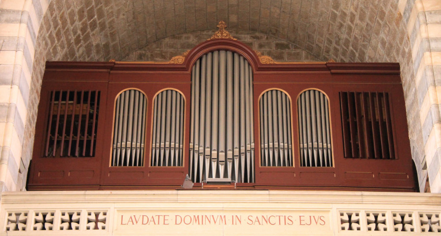 Histoire de l'orgue - Genèse et Moyen-Âge (L')