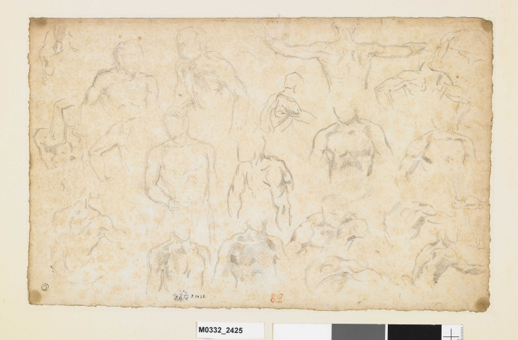 Etude de torses masculins en diverses positions