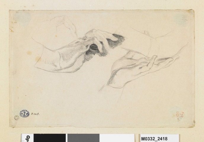 Etude d'une main gauche