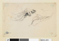 Etude d'une main gauche