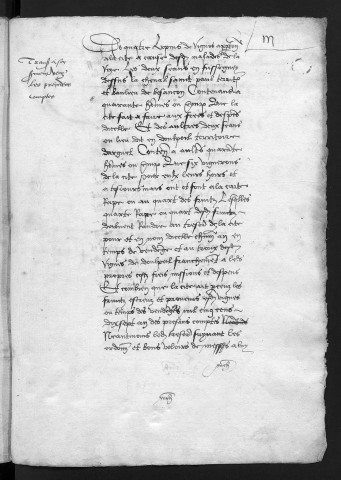 Comptes de la Ville de Besançon, recettes et dépenses, Compte de Pierre de Chaffoy (1er janvier - 31 décembre 1517)