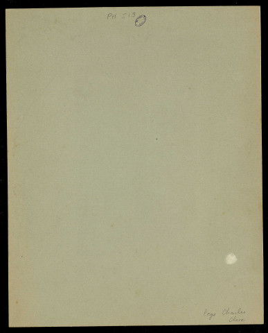 Guilleminot, Boespflug & Cie (Paris). "Epreuve obtenue sur le papier au lacto citrate d'argent" (paysage)