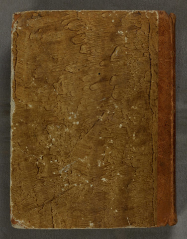 Ms 14 - Evangelia IV