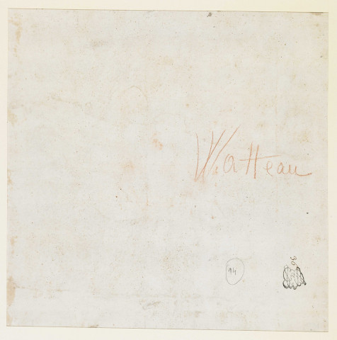 Etude de coquillage (Murex anguliferus)