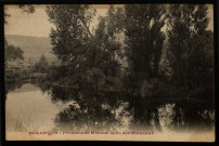 Besançon - Promenade Micaud. L'Ile des Moineaux [image fixe] , 1897/1903