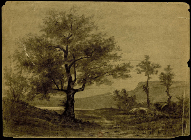 Paysage avec arbres , [1880-1920]