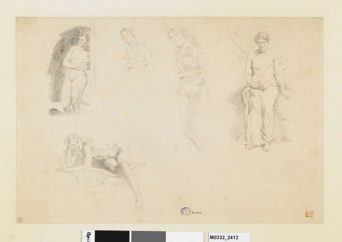 Cinq études d'un modèle féminin nu