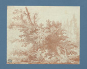 Garçon allongé sous un arbre , [France : Paris], [vers 1770]