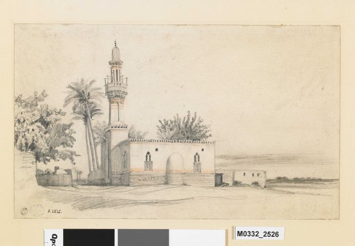 Paysage égyptien : mosquée et palmiers