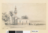 Paysage égyptien : mosquée et palmiers