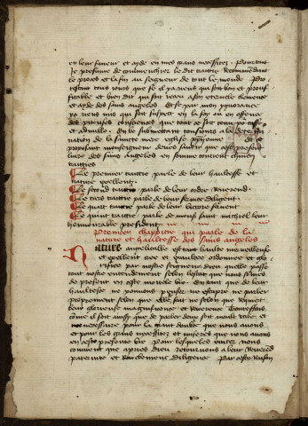 Ms 206 - « Le livre des sains angeles, compilé par frère Franchois Eximines, de l'ordre des frères Mineurs, à la requeste de mesire Pierre d'Arthes, chevalier, chambellan et maistre d'ostel du roy d'Arragon »