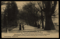 La grande allée de la promenade Micaud [image fixe] , Besançon : Cliché Ch. Leroux, 1910/1915
