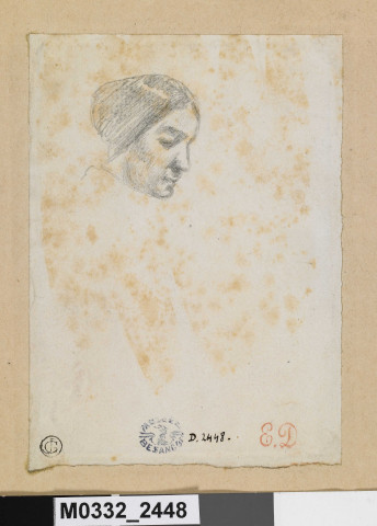 Tête de femme vue de profil