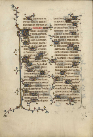 Ms 55 - Breviarii ad usum fratrum Praedicatorum fragmentum