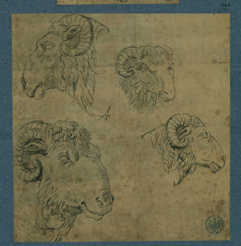 Quatre croquis de tête de bélier , [S.l.] : [s.n.], [1700-1800]