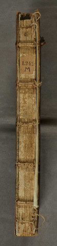 Ms 1242 - Plutarque (Plutarchus, 0046?-0120?), Vies (Vitae parallelae) : Phocion et Caton le Jeune, traduites en latin par Hermann Cruser (1516-1592)