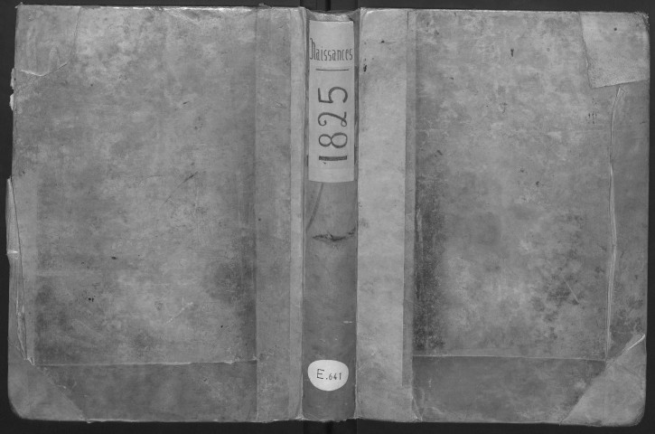 Registre des naissances, 1825