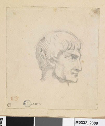 Tête d'homme de profil