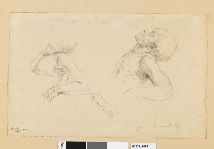 Deux études d'un garçon en buste, la tête penchée vers l'arrière