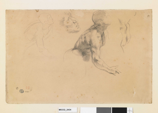 Etude de torse d'homme pour "La Justice de Trajan"