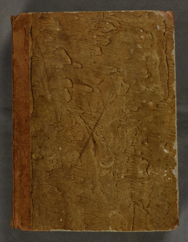 Ms 14 - Evangelia IV
