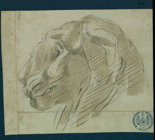 Tête de lion esquissée, vue de profil , [S.l.] : [s.n.], [1700-1800]