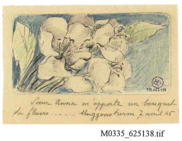 Soeur Anna m'apporte un bouquet de fleurs, avril 1945, dessin de Lou Blazer
