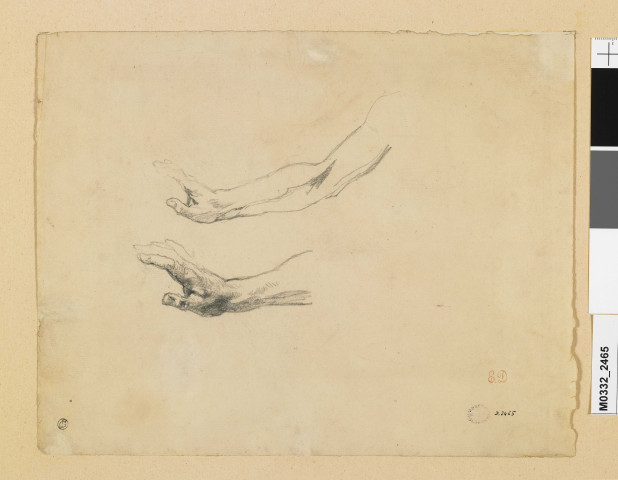 Deux études d'avant-bras pour la figure d'Hippocrate, dans Hippocrate refuse les présents du roi de Perse, bibliothèque du palais Bourbon
