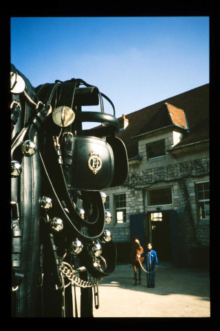Haras nationaux de Besançon : harnachement et sellerie.