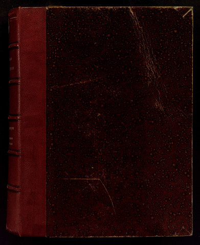 Ms 1816 - Notes sur l'histoire de Besançon. Les Temps modernes. (XVIe-XIXe siècle). Notes d'Auguste Castan (1833-1892)