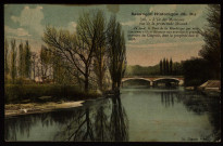 L'Ile des Moineaux vue de la promenade Micaud [image fixe] , 1904/1916