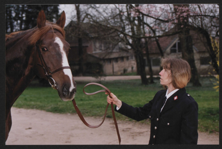 Sports avec animaux - Equitation, reportage au haras national de BesançonM. Tupin